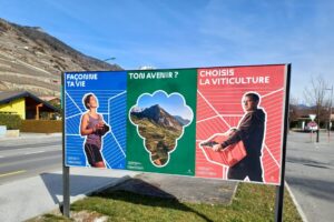 Vitivini promeut la relève des métiers vitivinicoles