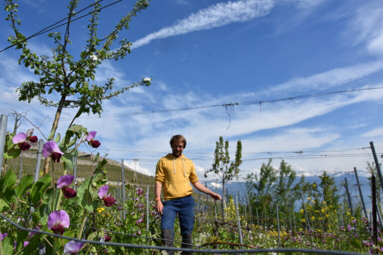 Andre Belard domaine Les Dryades
