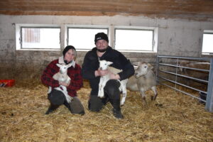 Agneau de Pâques: dans le quotidien des éleveurs